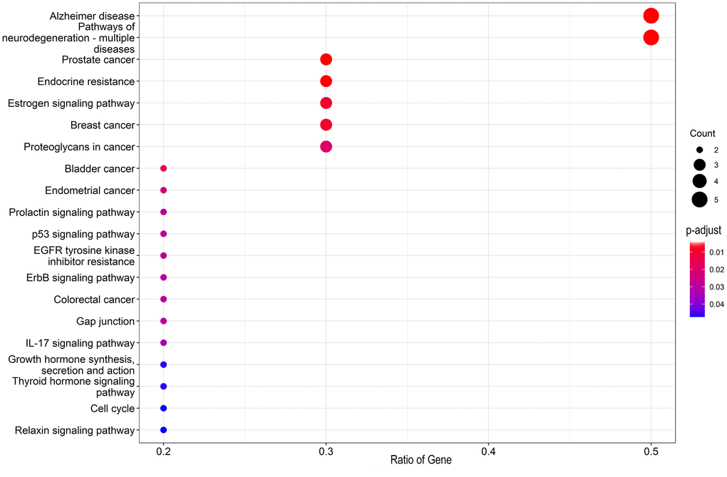 The core targets were used for KEGG pathway enrichment analysis, and molecular mechanisms underlying genistein activity against CRC were uncovered in bubble graphs.