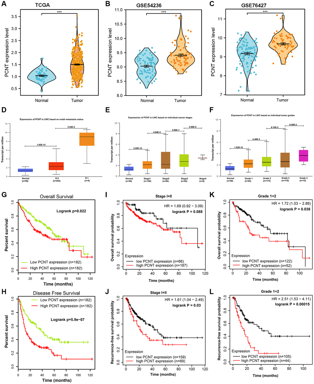 Expression and clinical role of PCNT mRNA in HCC. (A–C) PCNT mRNA levels in HCC and normal tissues in TCGA (A), GSE54236 (B), and GSE76427 (C) datasets. (D) PCNT mRNA levels in HCC tissues with lymph node metastasis. (E, F) PCNT mRNA gradually elevated with the tumor stage (E) and grades increased (F). (G, H) Higher PCNT mRNA levels correlated to poor OS (G) and disease-free survival (H). (I, J) Higher PCNT mRNA levels correlated to poor OS (I) and RFS (J) in stage I/II patients. (K, L) Higher PCNT mRNA levels correlated to poor OS (K) and RFS (L) in grade I/II patients.