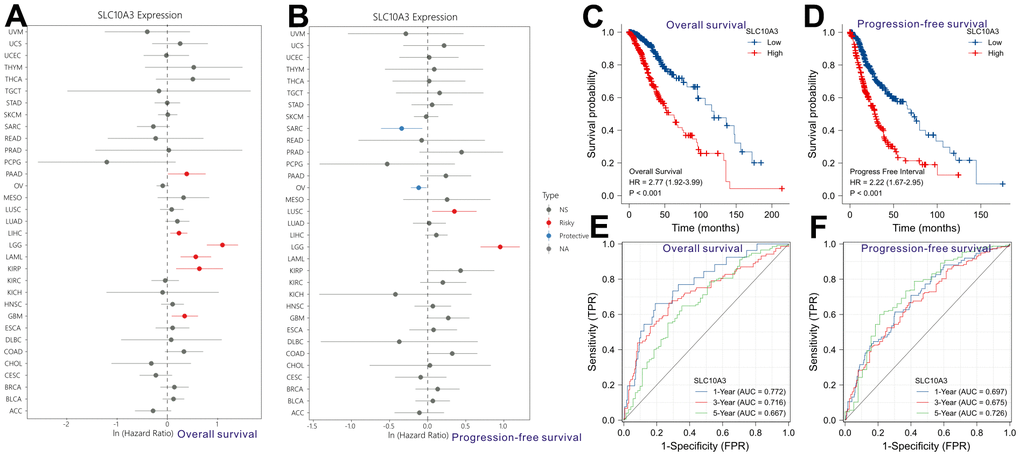 Prognostic role of SLC10A3 in pan-cancer and LGG. Single-factor Cox regression analysis reveals that up-regulation of SLC10A3 is a risk factor for poor overall survival (A) and progression-free survival (B) among LGG individuals. Survival curves display that down-regulated of SLC10A3 is correlated with favorable overall survival (C) and progression-free survival (D) among LGG individuals. SLC10A3 showed nice performance for the prediction of 1-year, 3-year, 5-year overall survival rate (E) and progression-free survival (F) rate for LGG individuals.