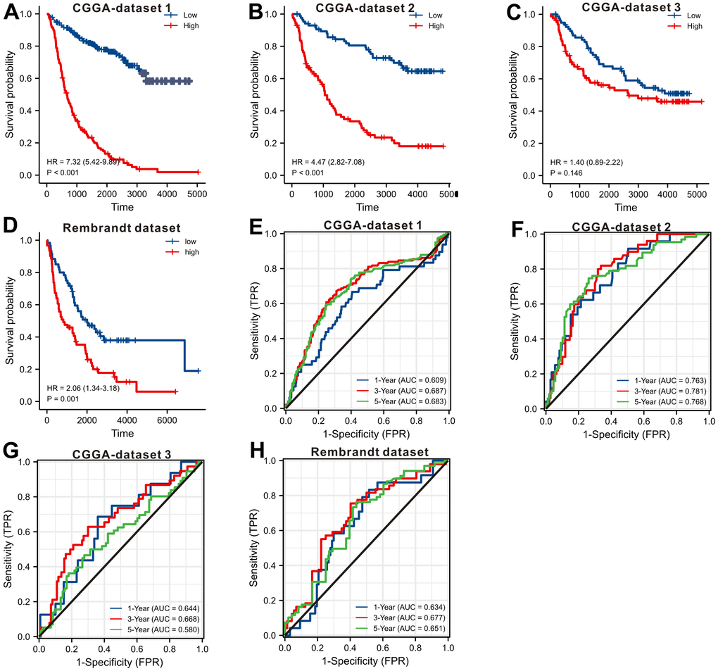 Validating the prognostic value of SLC10A3 with other LGG datasets. Survival curves display that down-regulated of SLC10A3 is correlated with favorable overall survival in CGGA dataset 1 (A), CGGA dataset 2 (B), CGGA dataset 3 (C), and Rembrandt dataset (D), SLC10A3 showed nice performance for the prediction of 1-year, 3-year, 5-year overall survival rate in CGGA dataset 1 (E), CGGA dataset 2 (F), CGGA dataset 3 (G), and Rembrandt dataset (H).