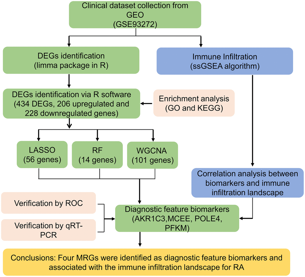 The workflow of the analysis process.