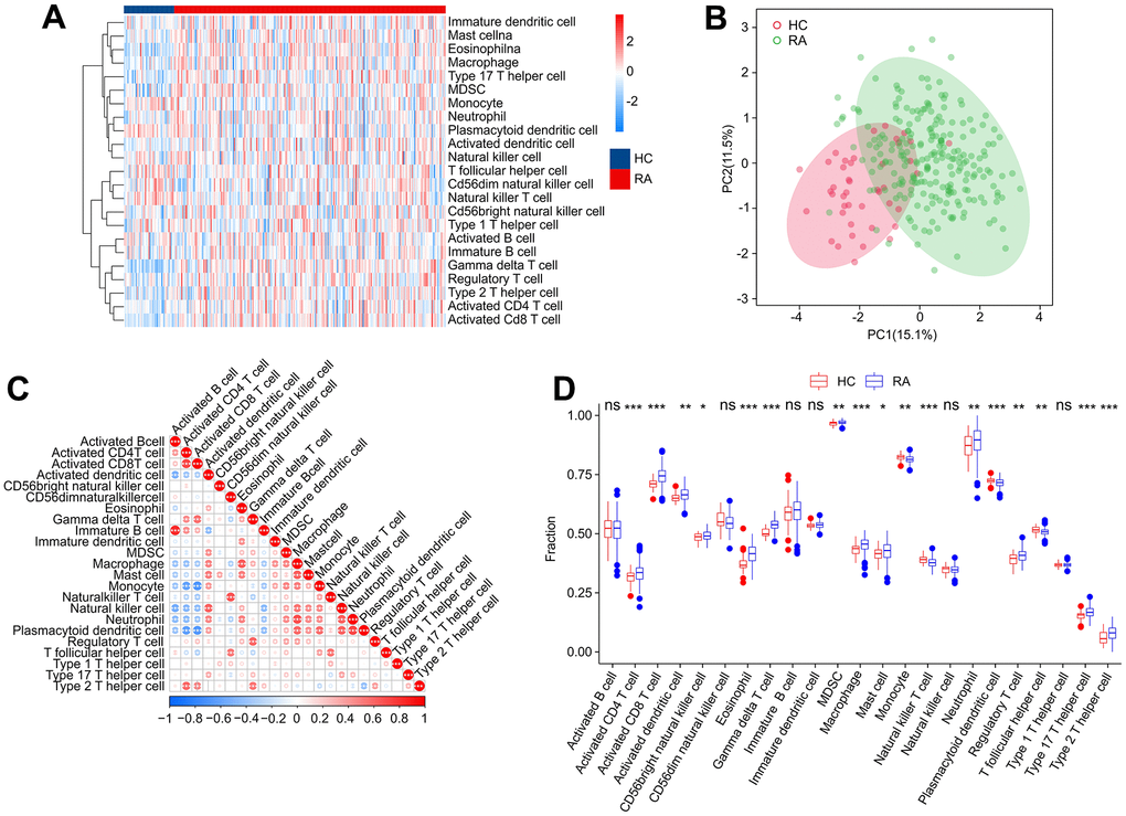 Immune infiltration analysis. (A) Heatmap shows the fraction of 23 types of immune cells in HC and RA groups based on the ssGSEA algorithm. (B) Principal component analysis (PCA) reveals a significant difference based on the 23 immune cells. (C) Correlation analysis of 23 immune cells. (D) The quantitative results of 23-type immune cells. Statistical significance: *P 