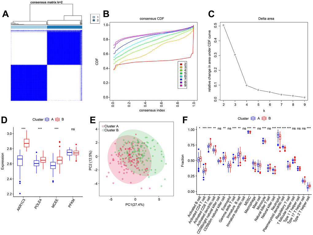 Consensus clustering analysis of RA samples based on 4 diagnostic feature biomarkers. (A) The consensus clustering heatmap shows the optimal K classification = 2-9. (B) Consensus CDF. (C) Delta area. (D) Expression of 4 diagnostic feature biomarkers in Cluster A and Cluster B. (E) PCA score plot. (F) The proportion of 23-types immune cells of patients with RA in Cluster A and B.