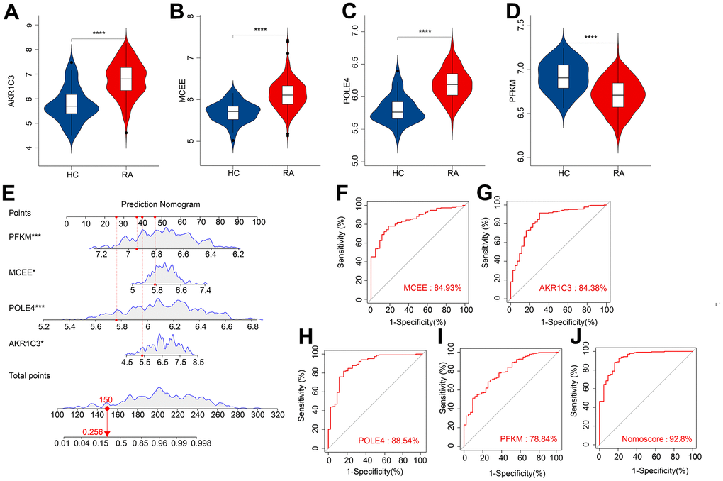 ROC curve analysis and the expression of the diagnostic feature biomarkers. The violin diagram shows the expression of (A) AKR1C3, (B) MCEE, (C) POLE4, and (D) PFKM. (E) A nomogram model to validate the impact of the four feature biomarkers on diagnostic effectiveness. ROC curve analysis of (F) MCEE, (G) AKR1C3, (H) POLE4 and (I) PFKM. (J) The AUC value of the nomogram score was 92.8%. *P 