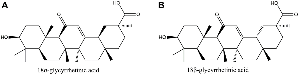 The structure of glycyrrhetinic acid (GRA). (A) 18α-glycyrrhetic acid (18α-GRA). (B) 18β-glycyrrhetic acid (18β-GRA).