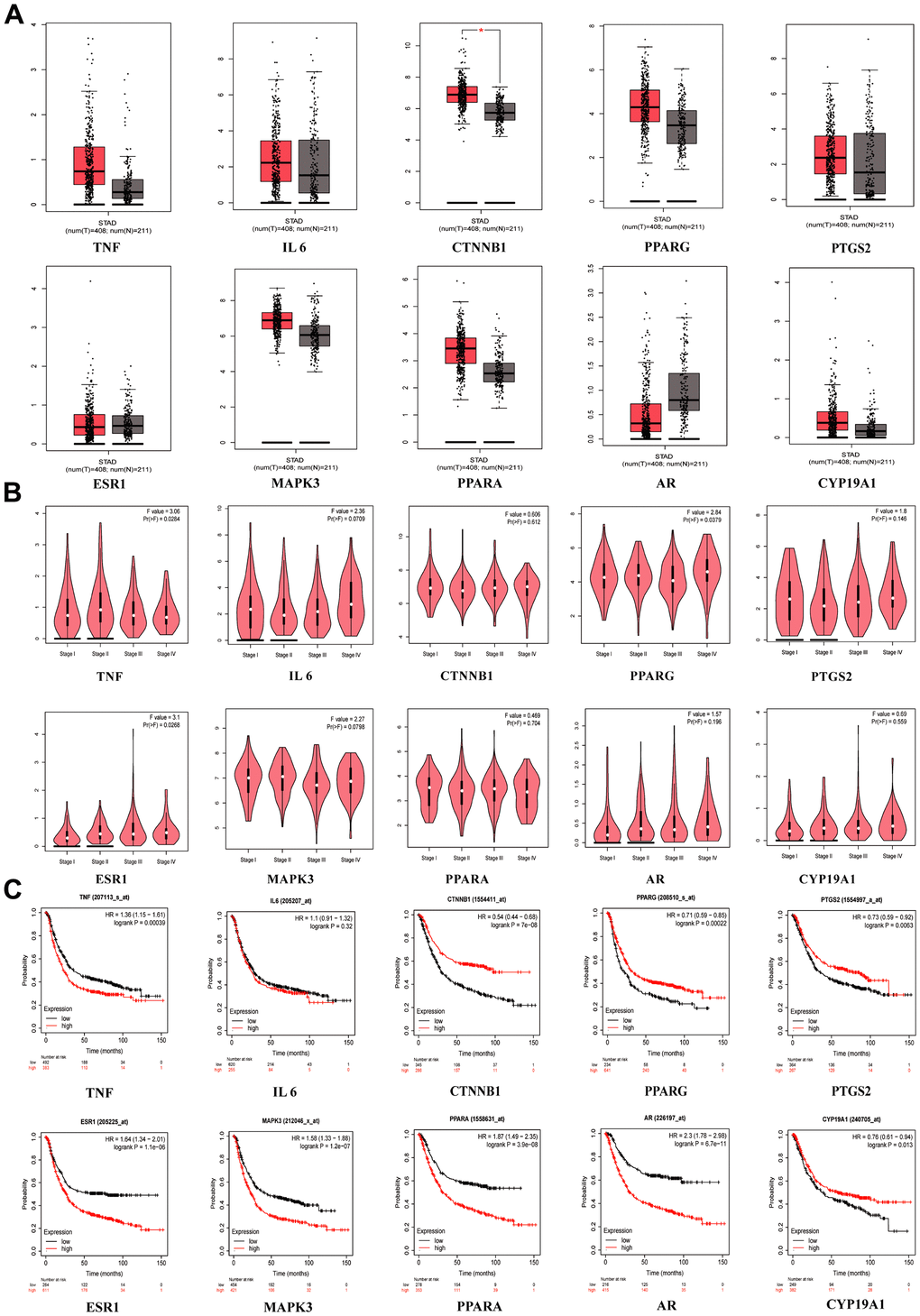 Clinical correlation analysis of hub targets. (A) mRNA expression level of hub targets between GC tissues and normal gastric tissues, *p B) The significance of hub target in staging of GC, p C) Survival analysis of hub targets, Log-rank p 
