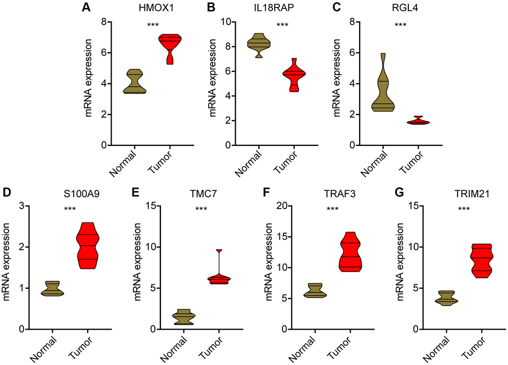 Validation of mRNA level for prognostic signatures in HCC. (A) HMOX1; (B) IL18RAP; (C) RGL4; (D) S100A9; (E) TMC7; (F) TRAF3; (G) TRIM21.