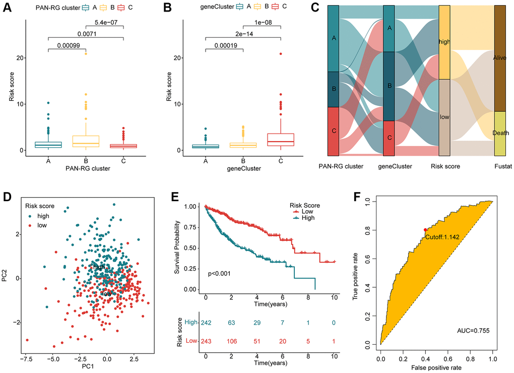 Evaluation of risk score for HCC samples based on the prognostic DEGs. (A) Risk score of HCC samples in PAN-RGs cluster subgroups. (B) Risk score of HCC samples in gene cluster-subgroups. (C) Association of risk score and clinical survival status for HCC samples in the PAN-RG- and gene-cluster subgroups. (D) The PCA plot of HCC samples in the risk subgroups. (E) Prognosis analysis of HCC samples in the risk subgroups. (F) The diagnostic effectiveness of the risk score for HCC.