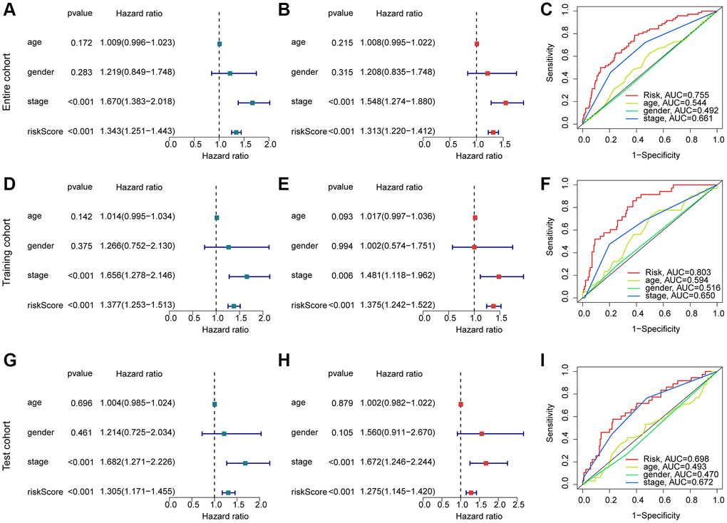 Exploration of independent prognostic for risk score in HCC. (A, B) Univariate and multivariate Cox analysis in entire cohort. (C) ROC curve analysis of risk score and clinical variates of HCC. Univariate/multivariate Cox analysis and ROC curve in training cohort (D–F) and test cohort (G–I).