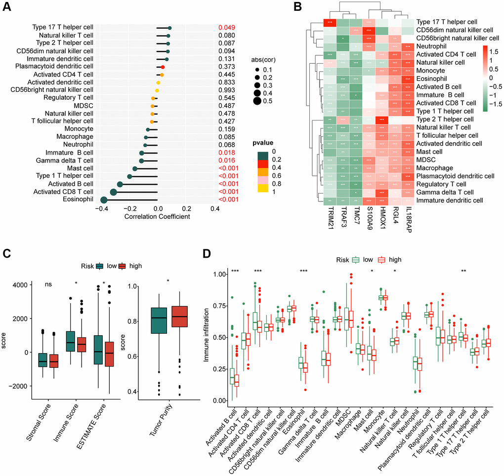 Assessment of immune infiltration of HCC samples in the risk subgroups. (A) Correlation coefficient of risk score and immune infiltration. (B) Correlation analysis of 8 prognostic factors and immune infiltration. (C) ESTIMATE score. (D) Immune infiltration evaluation of HCC samples in the risk subgroups.