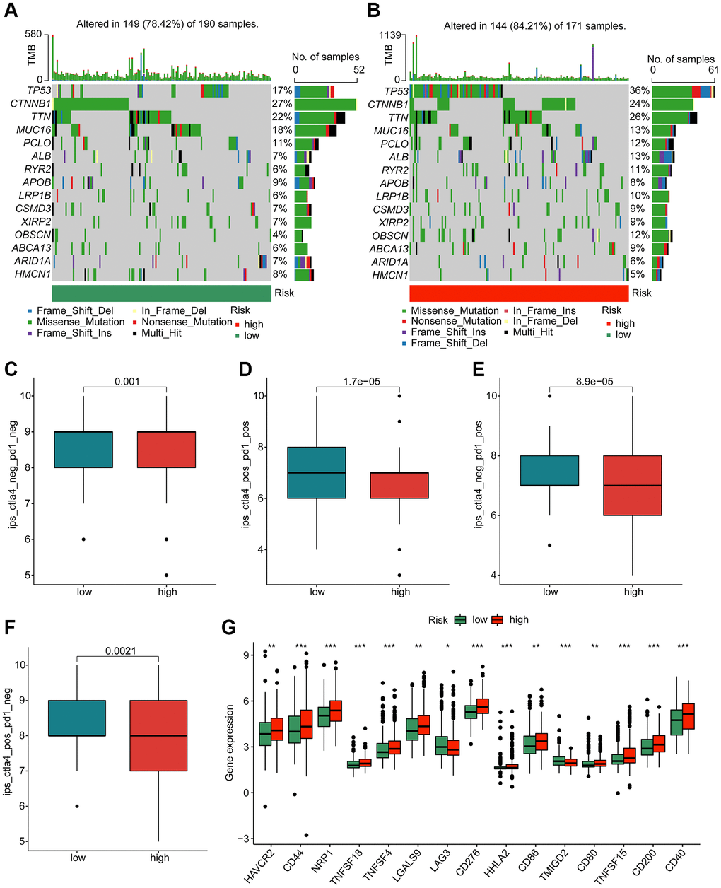 Genetic mutation characteristic and immunotherapy response of risk subgroups. Evaluation of somatic mutation landscape of HCC samples in (A) low- and (B) high-risk groups. (C–F) Immunotherapy response exploration of risk subgroups. (G) Difference analysis of immune checkpoints in the risk subgroups.