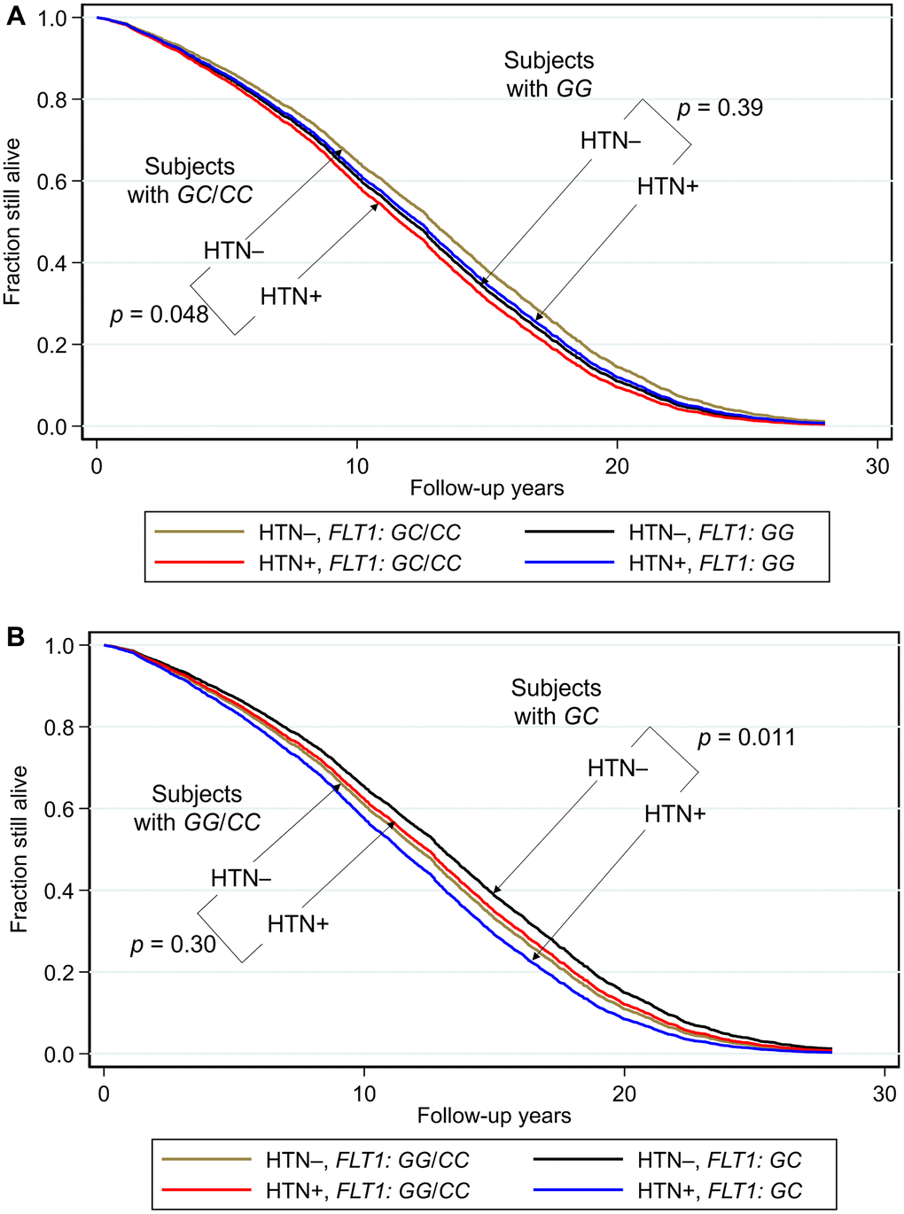 Survival curves spanning the period from baseline (1991–1993) to December 31, 2019 showing fraction still alive for subjects with and without hypertension according to genotypes of FLT1 SNP rs3794396. (A) Major allele recessive model, and (B) heterozygote disadvantage model, the survival probabilities were estimated from Cox proportional hazard models. In (A) Cox model was h(t) = h(t0) * exp(β1*Age + β2*BMI + β3*glucose + β4*hypertension + β5*FLT1