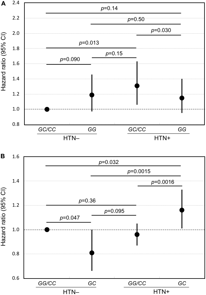 Forest plots of mortality risk (hazard ratio and 95% CI) for subjects with and without hypertension for the major allele recessive model and the heterozygous disadvantage model. Shown are results from Cox models adjusted for age, BMI, glucose, smoking (pack-years), alcohol intake (ounces/month), physical activity index, prevalent diseases including CHD, stroke, diabetes, cancer, and depressive symptoms for hypertensive subjects and normotensive subjects according to genotype of FLT1 SNP rs3794396 in (A) the major allele recessive model, GG vs. GC/CC and (B) the heterozygote disadvantage model, GC vs. GG/CC. In men with hypertension who had a longevity-associated genotype, mortality risk was reduced significantly.