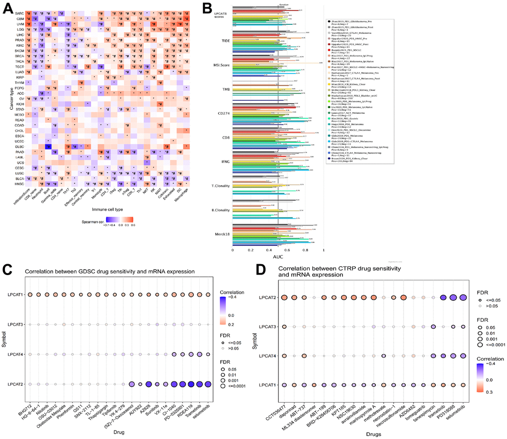 Analysis of association between LPCATs Score and immune infiltrating, potent anticancer inhibitors. (A) The link between LPCATs Score and immune infiltrating score in pan-cancer was illustrated. (B) The value of LPCATs Score in predicating response outcomes and OS in immune checkpoint blockade (ICB) sub-cohorts was demonstrated. (C) The link between gene expression and the sensitivity of GDSC pharmaceuticals (top 30) was represented. (D) The top 30 CTRP pharmaceuticals and their sensitivity to pan-cancer expression profiles are presented.