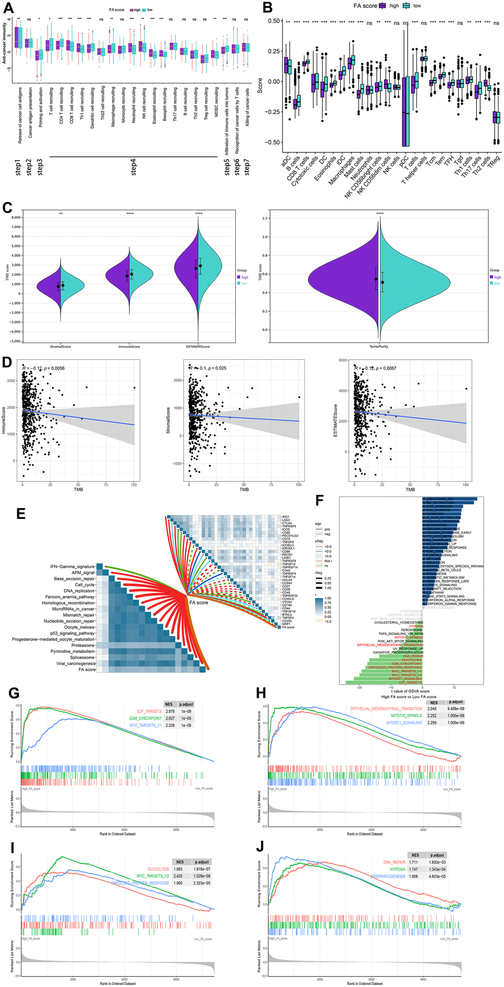 The relationship between immune characters of TME and FA score in the whole cohort. (A) Differences in activities of the cancer immunity cycles between high and low FA score groups. (B) Different expressions of immune infiltration cells in each FA score group. (C) Violin plots for the immune score, stromal score, ESTIMATE score, and tumor purity in the low and high FA score groups. (D) Spearman correlation analysis between TMB and immune score, stromal score, and ESTIMATE score. (E) The correlations between FA score, immunotherapy-predicted pathways and immune checkpoints. (F) The difference in the hallmark gene sets between FA score groups. (G–J) The GSEA results for the 11 overlapping upregulated hallmark pathways in terms of the high FA score groups. ns, not significant, *P 