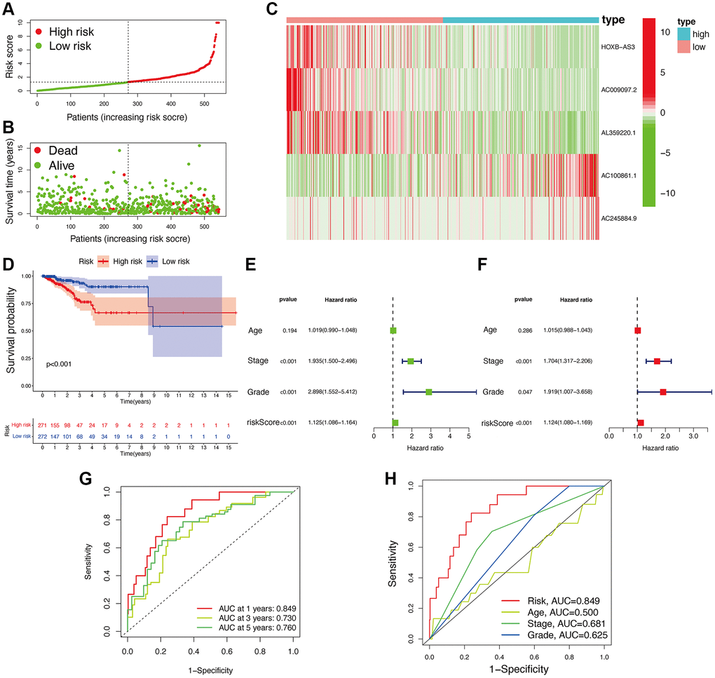 Associations between risk signature and UCEC prognosis. Risk score distribution (A) and survival status (B) analysis of TCGA-UCEC cohort. (C) Expression level of hub lncRNAs in risk subgroups. (D) Survival curve of UCEC patients. Univariate (E) and multivariate Cox (F) regression of clinicopathological features. TimeROC (G) and ClinicalROC (H) curves to forecast overall survival of patients.