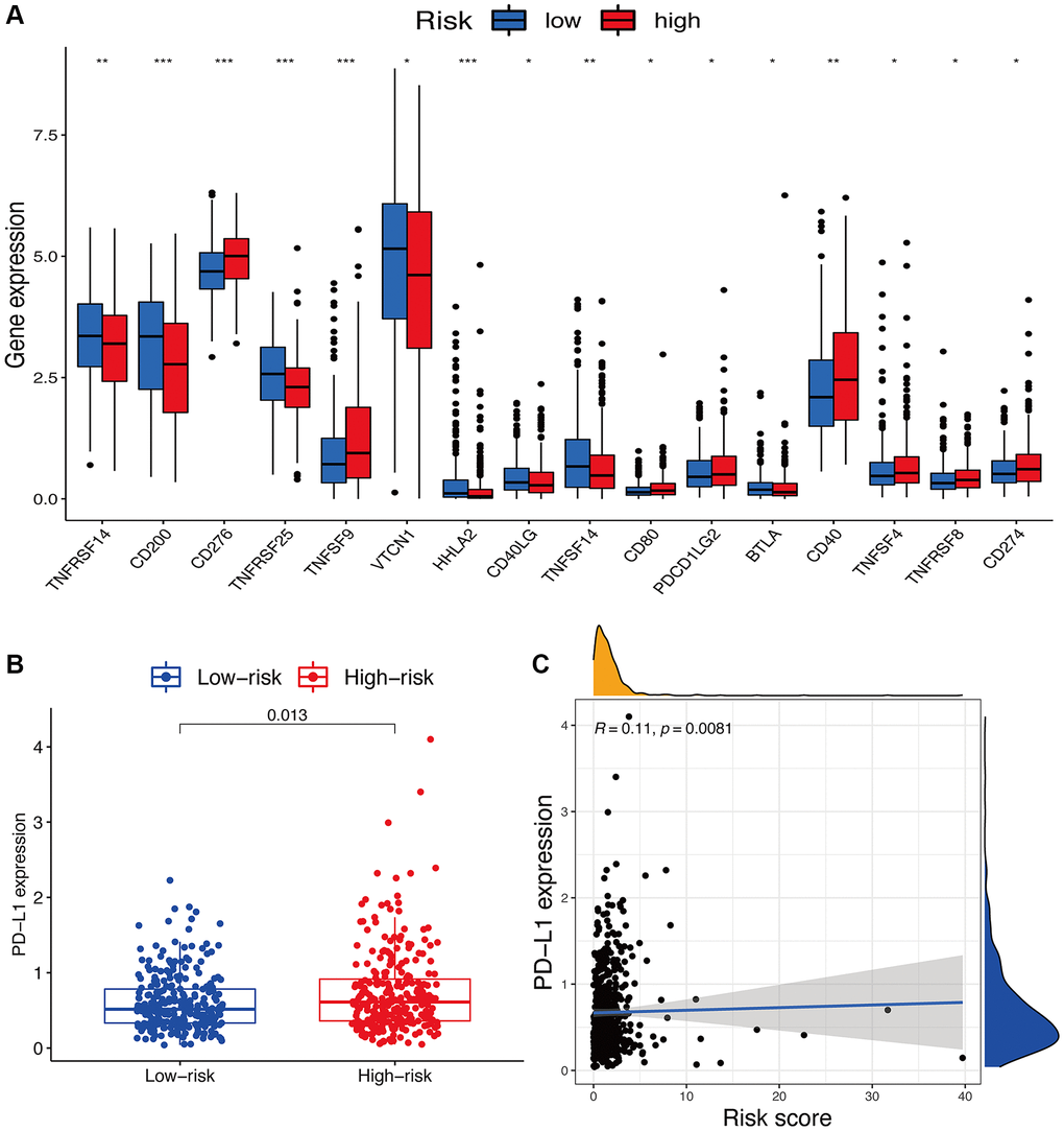 Potential role of risk signature in immune checkpoints. (A) Expression of immune checkpoints among two risk subgroups in UCEC patients. (B) Expression levels of genes PD-L1 in risk subgroups. (C) Correlation analysis between risk score and PD-L1.