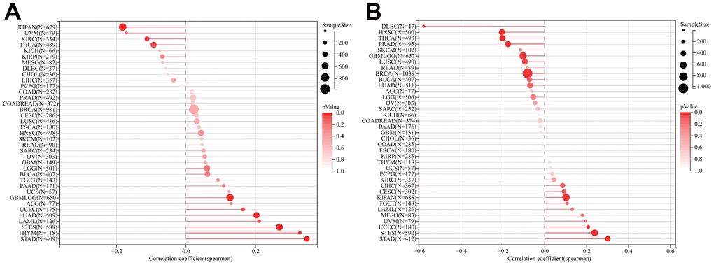 Relationship of DLAT expression and TMB and MSI. (A) Lollipop chart illustrating the relationship between DLAT expression and TMB. (B) Lollipop chart illustrating the relationship between DLAT expression and MSI.