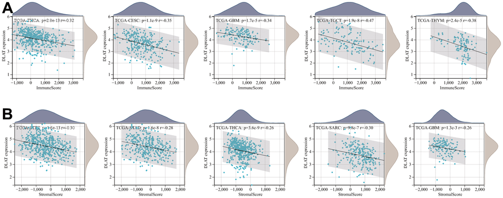 Five tumors with the highest correlation coefficients between DLAT expression and the tumor microenvironment. (A) Correlation between DLAT and immune scores in THCA, CESC, GBM, TGCT, and THYM. (B) Correlation between DLAT and stromal scores in STES, STAD, THCA, SARC, and GBM.