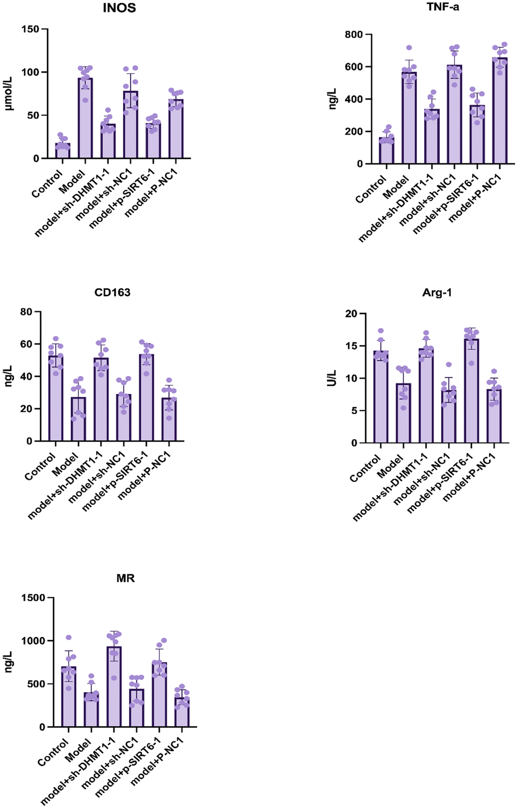 Macrophage M1/M2 markers in nucleus pulposus tissue homogenate determined by ELISA after 12 weeks of surgery. Data are presented as the mean and SD. M1 macrophage specific markers: iNOS and TNF-α, and M2 macrophage-specific markers: CD163, Arg-1, MR.