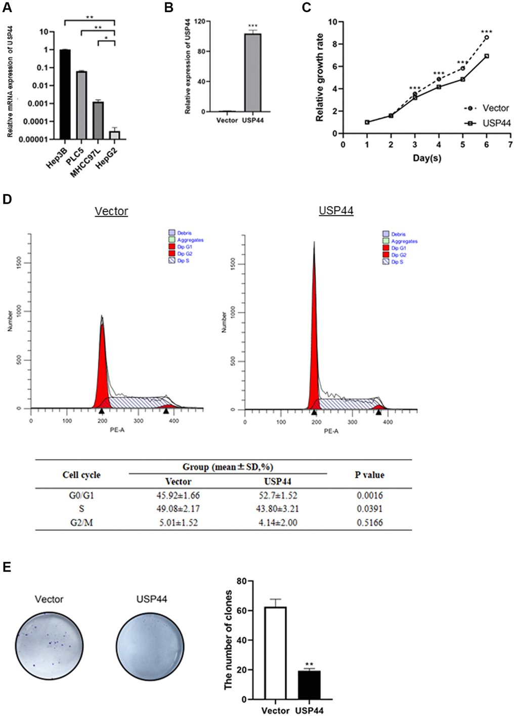 Roles of USP44 in cell proliferation and the cell cycle in hepatocellular carcinoma (HCC). (A) USP44 expression in various HCC cell lines, including Hep3B, PLC5, MHCC97L, and HepG2. USP44 expression was relatively lower in the HepG2 cell line than in other HCC cell lines. (B) Quantitative real-time PCR analysis validated the overexpression of USP44 after lentiviral infection with either USP44 vector or control vector. (C) The CCK-8 assay showed inhibition of HepG2 cell proliferation after USP44 overexpression. Dashed line = control vector HepG2 cells; solid line = USP44-overexpressing HepG2 cells. (D) Flow cytometry analysis with propidium iodide staining shows cell cycle arrest at the G0/G1 phase in USP44-overexpressing HepG2 cells. (E) USP44 overexpression was associated with reduced colony formation by HepG2 cells. Colony formation was assessed 10 days after 1000 cells were seeded onto a 6-well plate.