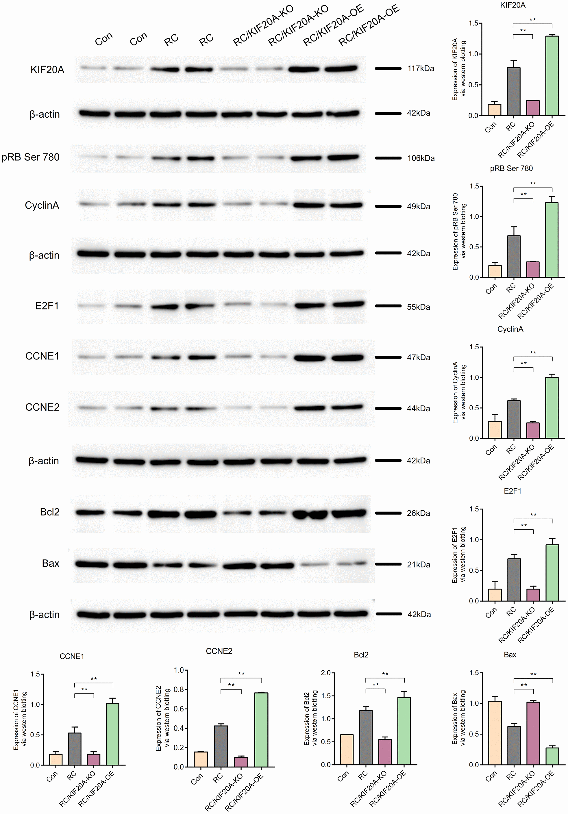 class="figure-viewer-img"