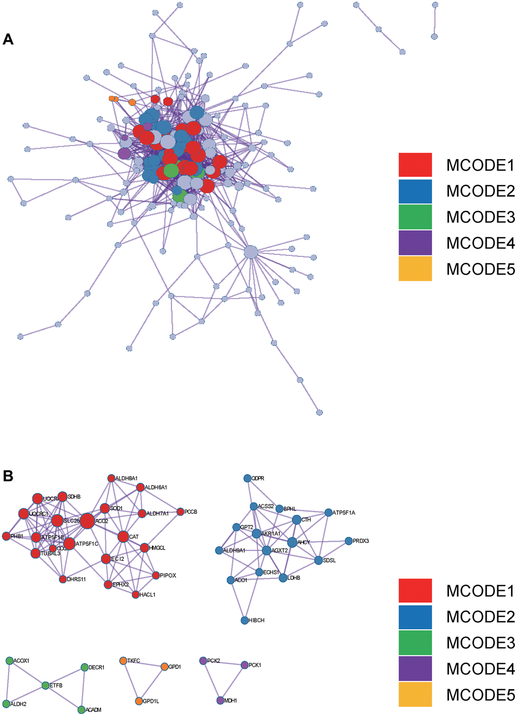 Metascape enrichment analysis. (A) PPI network drawn by Metascape. (B) The screened core gene group.