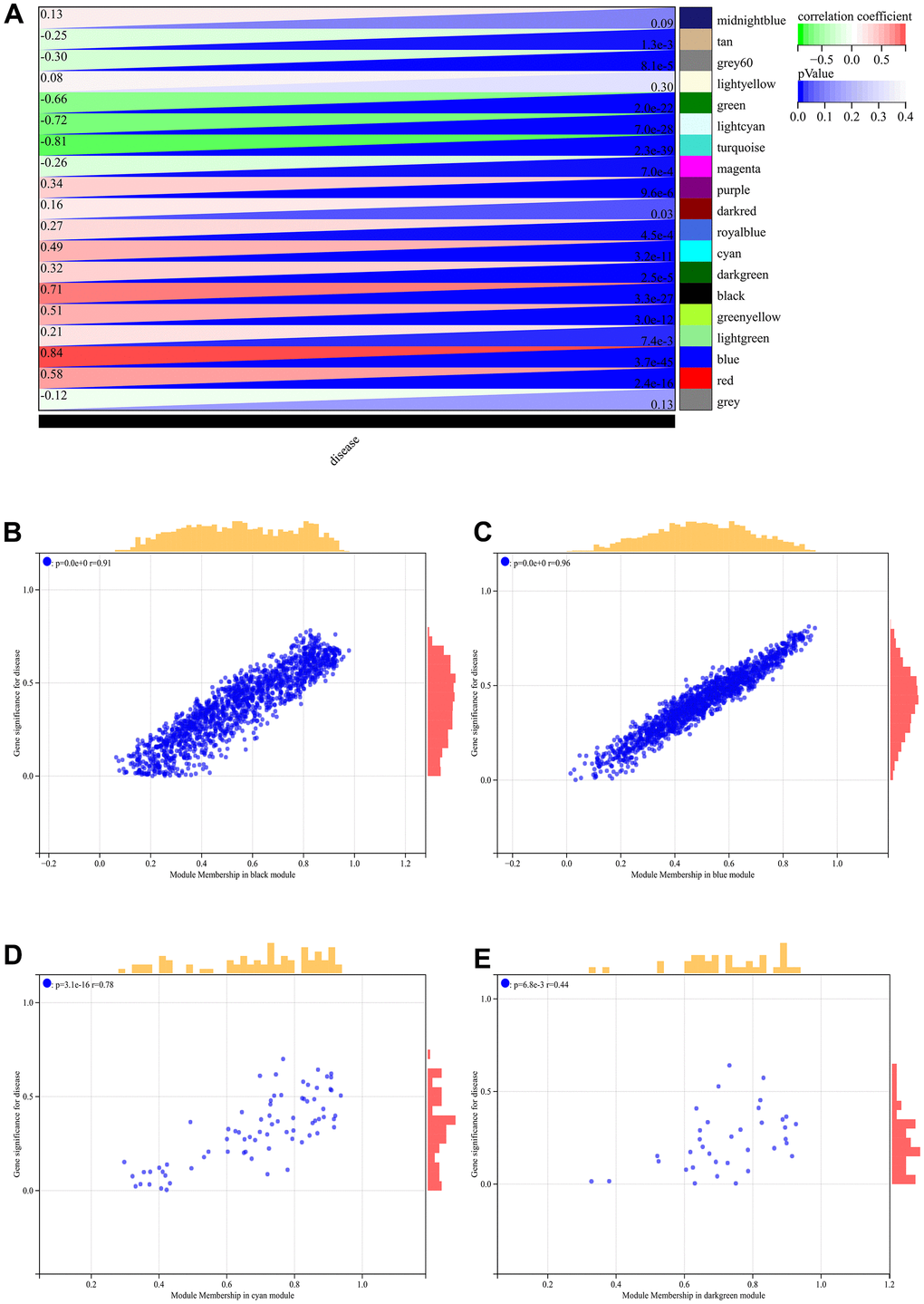 WGCNA. (A) Module-to-phenotypic correlation heatmap. (B–E) GS vs. MM correlation scatterplot.