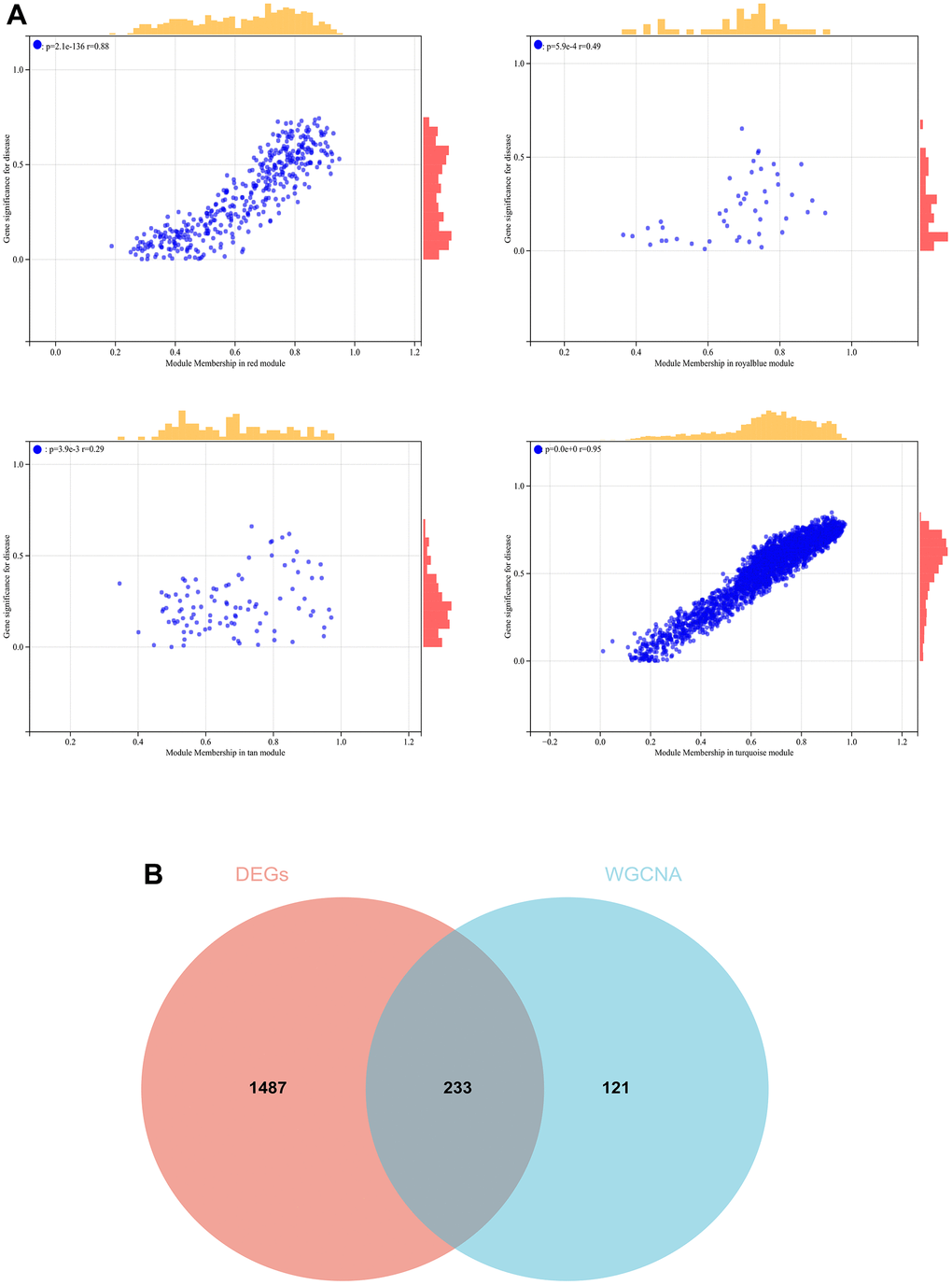 The conjoint analysis for the WGCNA and the DEGs. (A) Correlation analysis by WGCNA. (B) A Venn diagram was generated by intersecting the differentially expressed genes (DEGs) selected by WGCNA and DEGs and was then used to create and analyze a protein-protein interaction network.