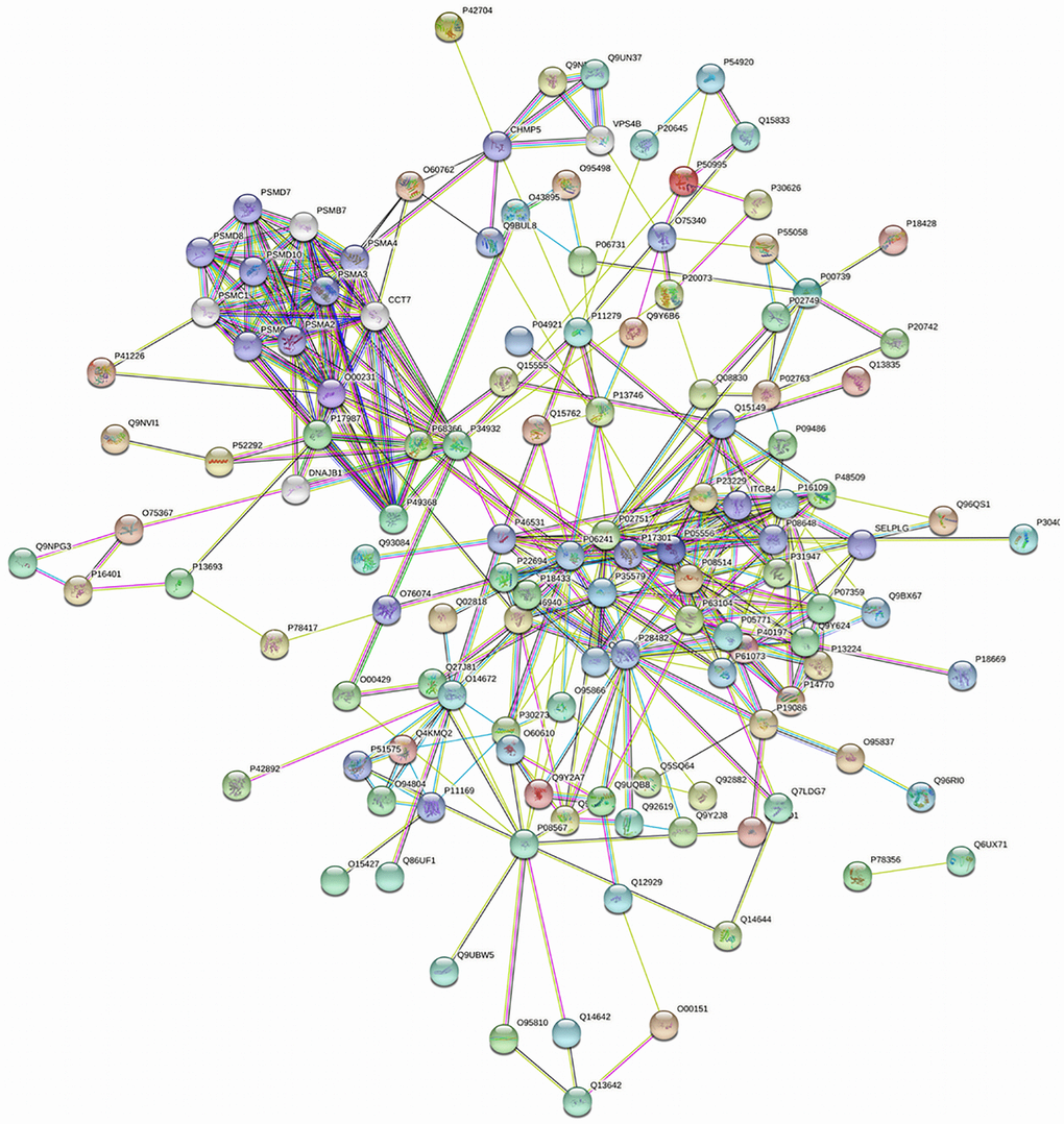 The PPI regulation network of up-regulated proteins in the PSCI group.