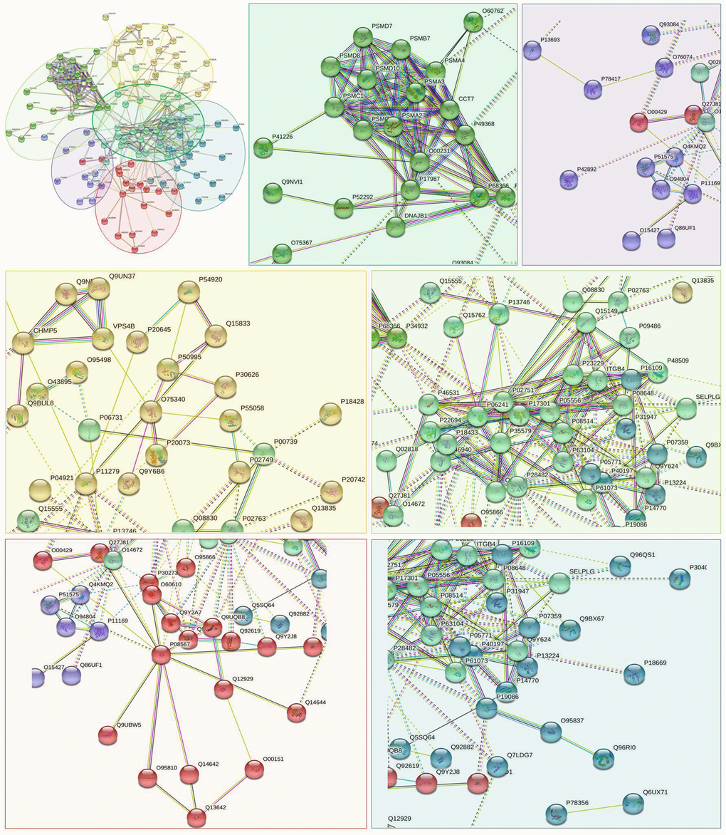 The PPI network means clustering of up-regulated proteins in the PSCI group. The PPI network is clustered to a specified number of clusters.