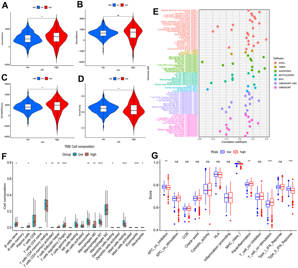 Analysis of tumor immune microenvironment. Violin plots of differences in immune scores (A), stromal scores (B), ESTIMATE scores (C), and tumor purity (D) for different risk subgroups; Bubble plots of correlations between immune cells and risk scores under six algorithms (E); Proportions of 22 immune cells in two subgroups under the CIBERSORT algorithm (F); single sample gene set enrichment analysis (G). *p 
