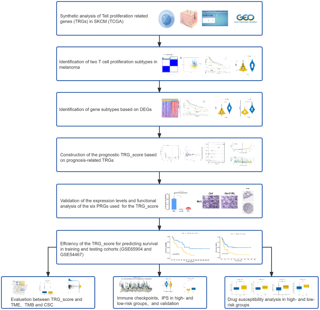 Flow diagram of the study.