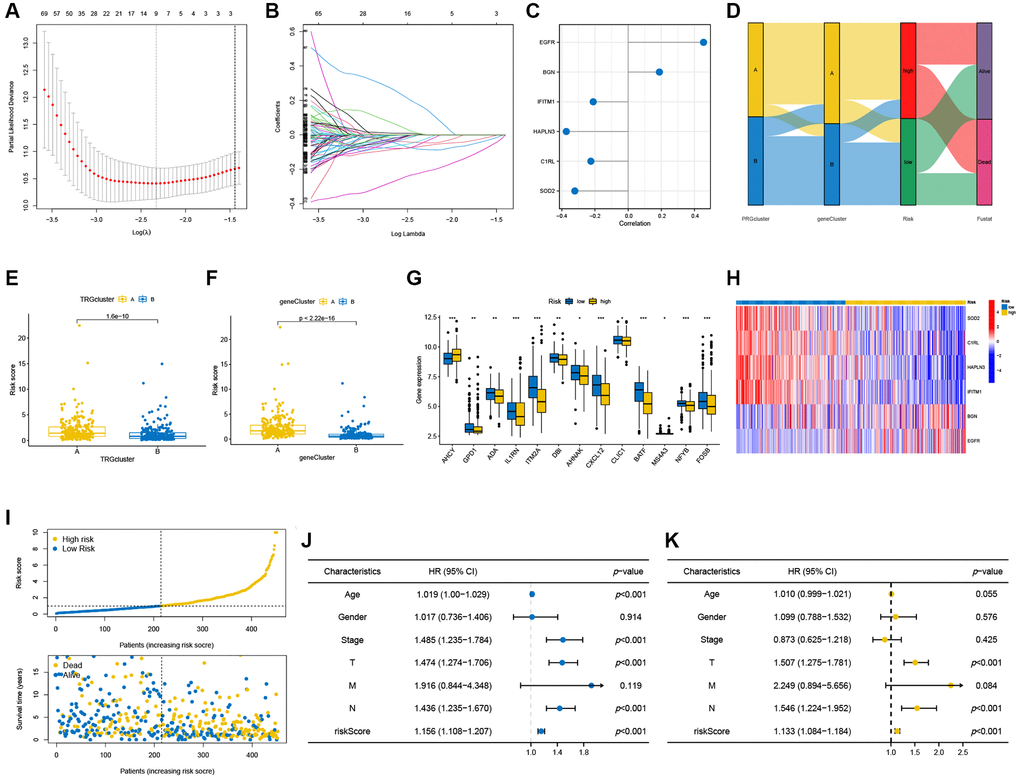 Construction of the prognostic model. (A, B) The LASSO regression analysis and partial likelihood deviance on the prognostic genes. (C) Forest plot of the multivariate cox regression analysis for the six signature genes. (D) Sankey diagram demonstrated the distribution of TRG subtypes, gene subtypes, risk groups and survival status in SKCM patients. (E, F) Differences in risk score between the two TRG clusters and two gene clusters. (G) Differences in expression levels of TRGs in the two risk groups. (H) Heatmap illustrating the expression of six signature genes in the two risk groups in the testing cohort. (I) Risk score and survival outcome of each sample. Forest plots of univariate (J) and multivariate (K) Cox regression analyses in SKCM patients. *p **p ***p 