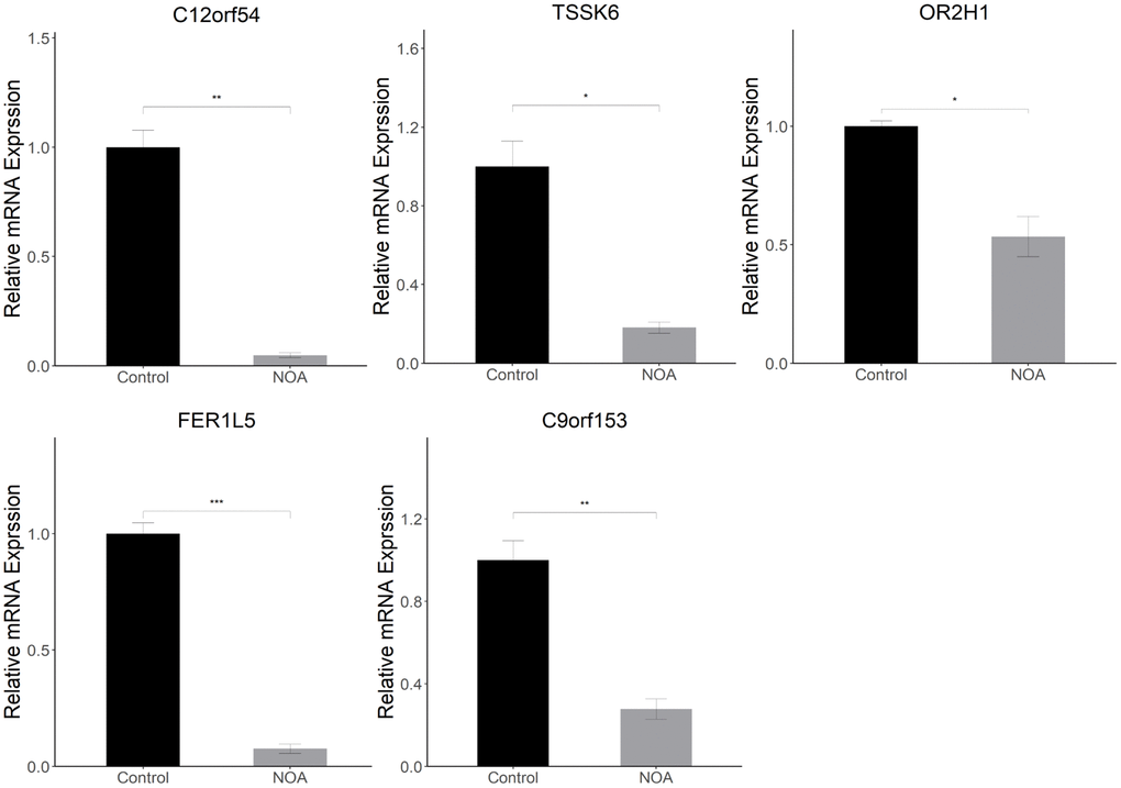 Animal experiment validation in epididymis (NOA: irradiation-induced non-obstructive azoospermia mice, Control: control group): Relative mRNA expression of signature genes (C12orf54, TSSK6, OR2H1, FER1L5, C9orf153) in epididymis. (*indicates P **indicates P ***indicates P 