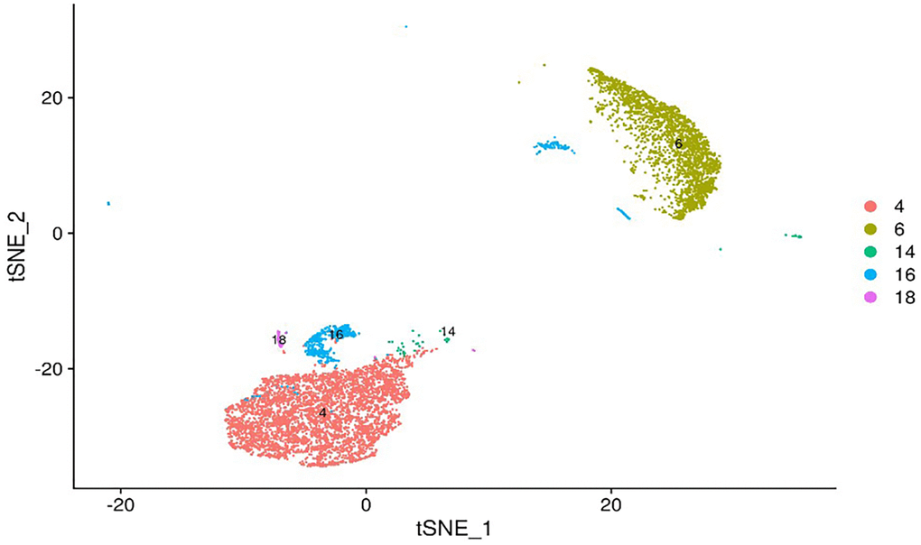 tSNE map of mouse peripheral blood neutrophils. Single-cell sequencing revealed that mouse peripheral blood neutrophils can be divided into 5 subsets: 4, 6, 14, 16, and 18. The potential gene markers of different neutrophil subsets are: IL-1β for subset 4, PbPb for subset 6, Wfdc17 for subset 14, Hbb-bt for subset 16 and Hdc for subset 18.