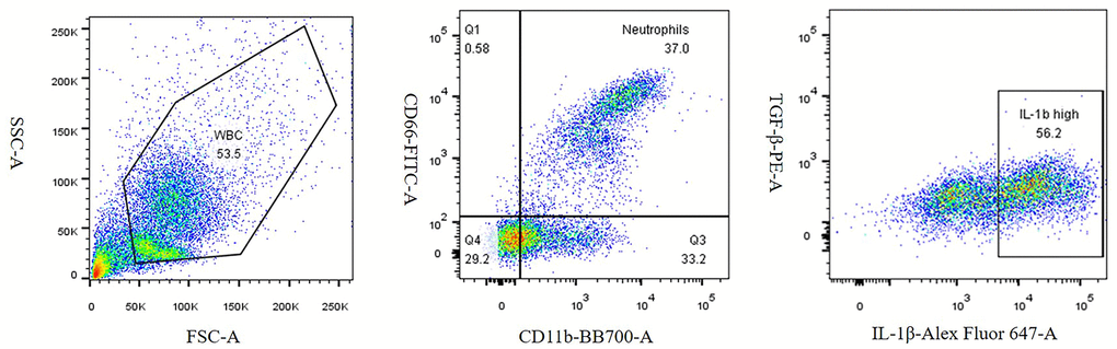 Density plots of neutrophils and pro-inflammatory neutrophils.