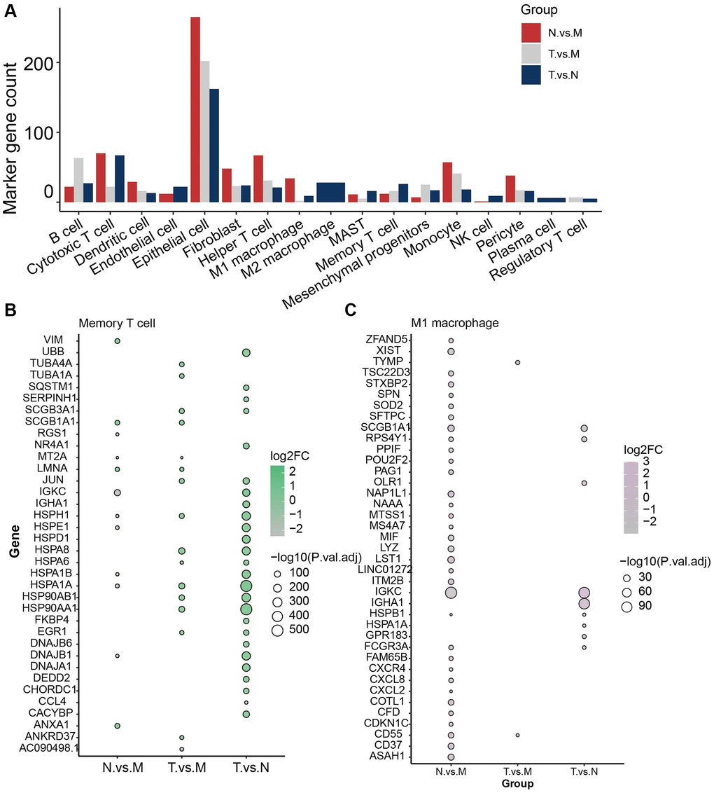 Identification of marker genes for type of immune cells in different sample classes. (A) Overview of total 709 marker genes. (B) Marker genes identified in memory T cells. (C) Marker genes identified in M1 macrophages.