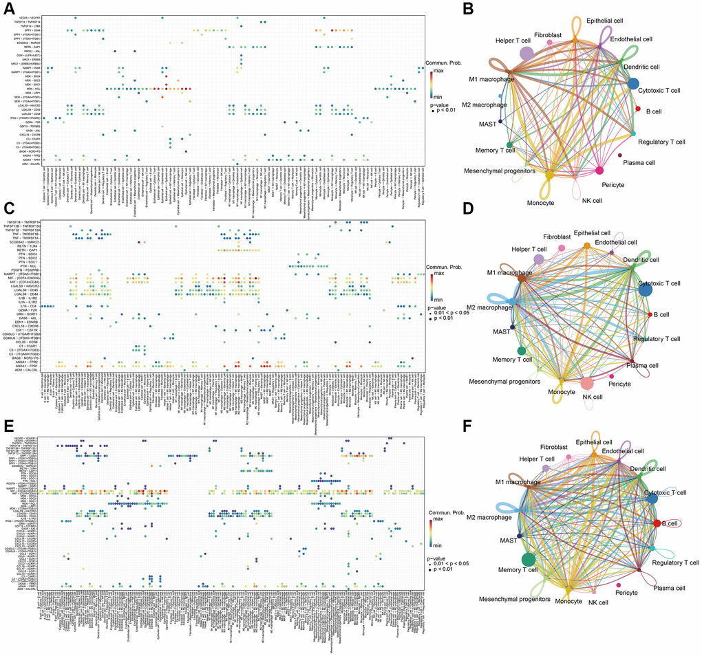 Cell-cell communication analysis with CellChat in (A, B) metastasis samples, (C, D) Normal samples, and (E, F) tumor samples.