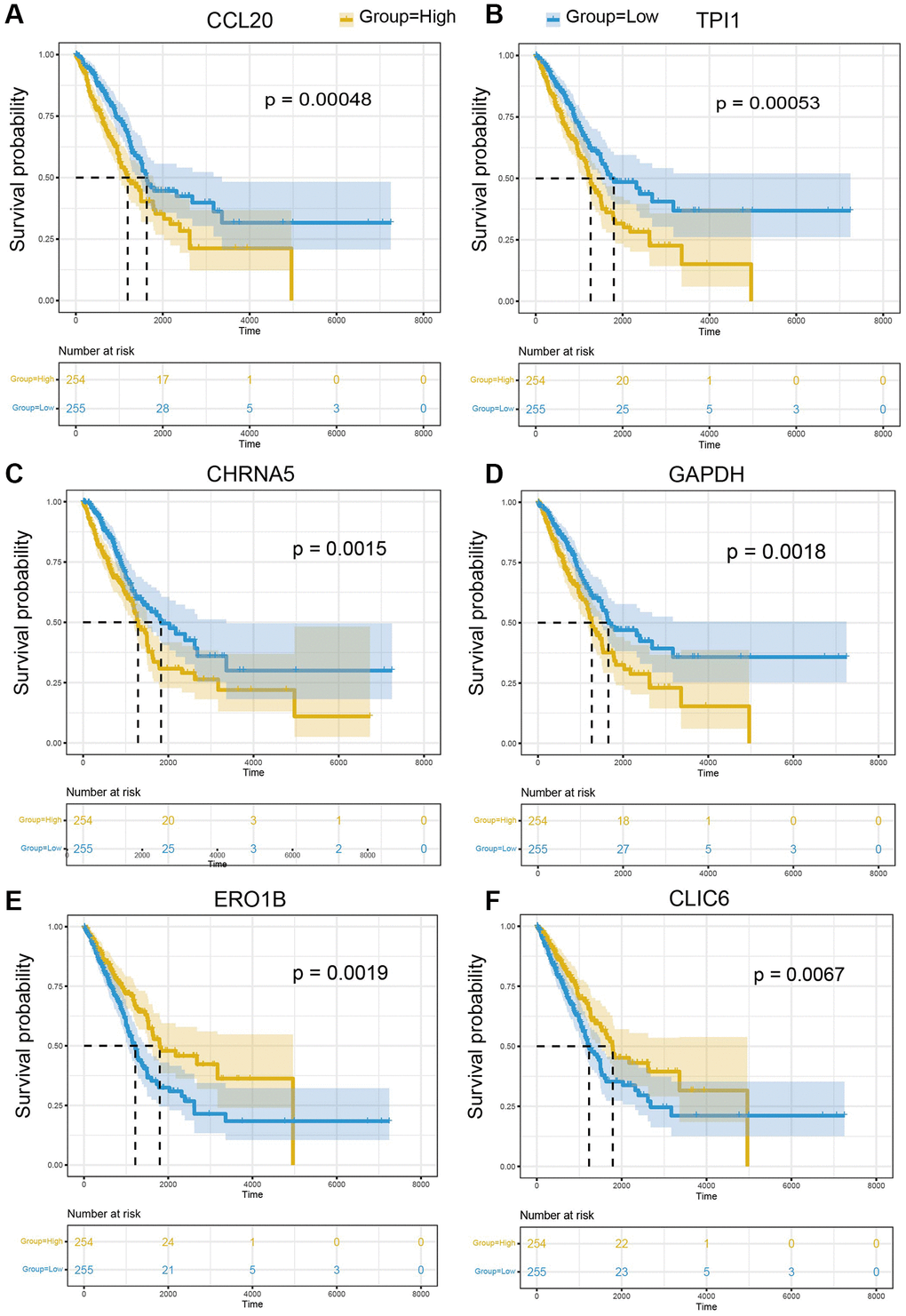 The prognostic significance of marker genes in LUAD. Kaplan-Meier survival curves of (A) CCL20, (B) TPI1, (C) CHRNA5, (D) GAPDH, (E) ERO1B, (F) CLIC6 in LUAD. The median of gene expression is utilized as the cut-off. Yellow: higher expression of indicated gene; Blue: lower expression of indicated gene.