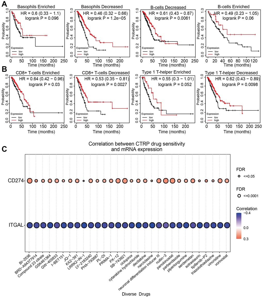 Comparison of Kaplan-Meier survival curves of the high and low expression of ITGAL in NSCLC according to diverse immune cells. (A, B) Overall survival curves of the higher and lower expression of ITGAL in NSCLC based on immune cell subgroups. (C) Correlations between ITGAL expression and sensitivity of various drugs by CTRP database.