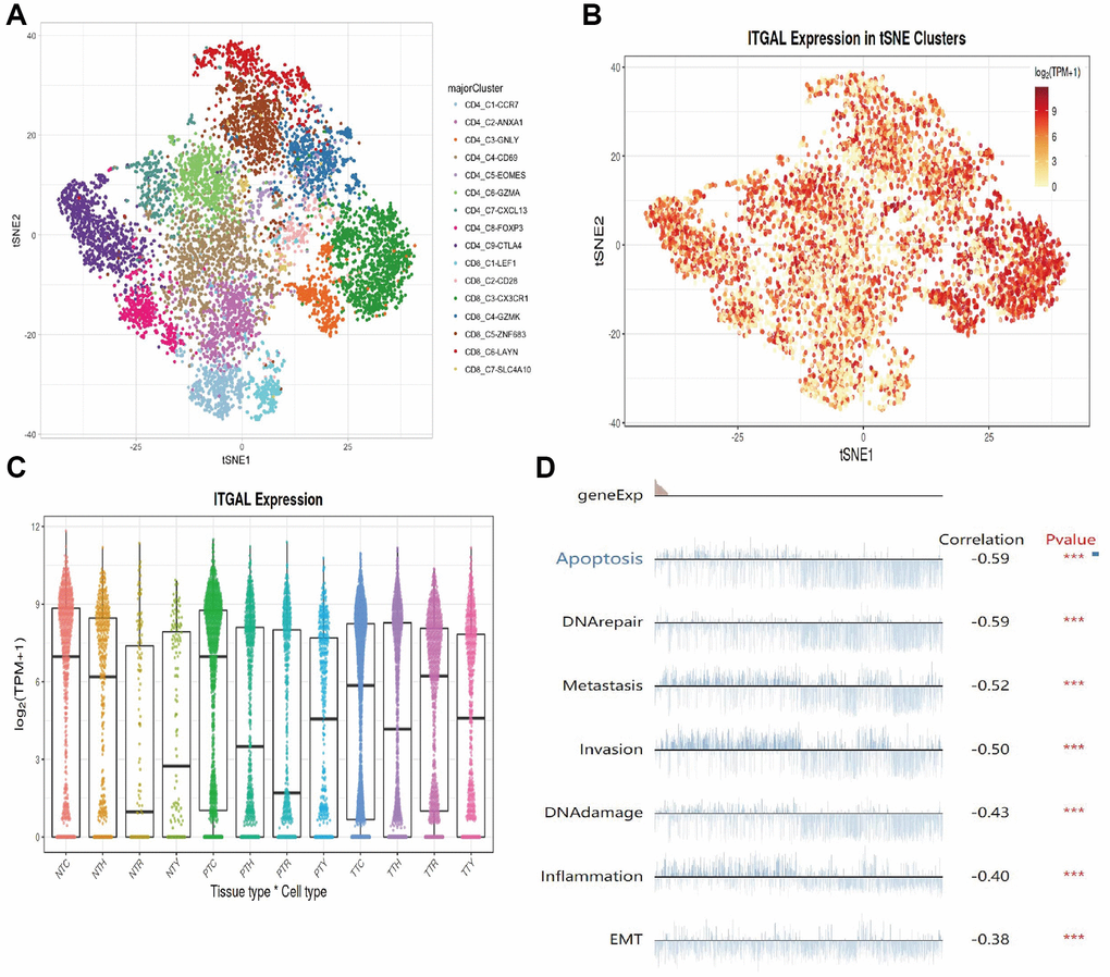 Single-cell sequencing analysis. (A–C) The expression of ITGAL in diverse immune cells. (D) Analysis of the function of ITGAL in NSCLC by using single-cell sequencing data. ***p 