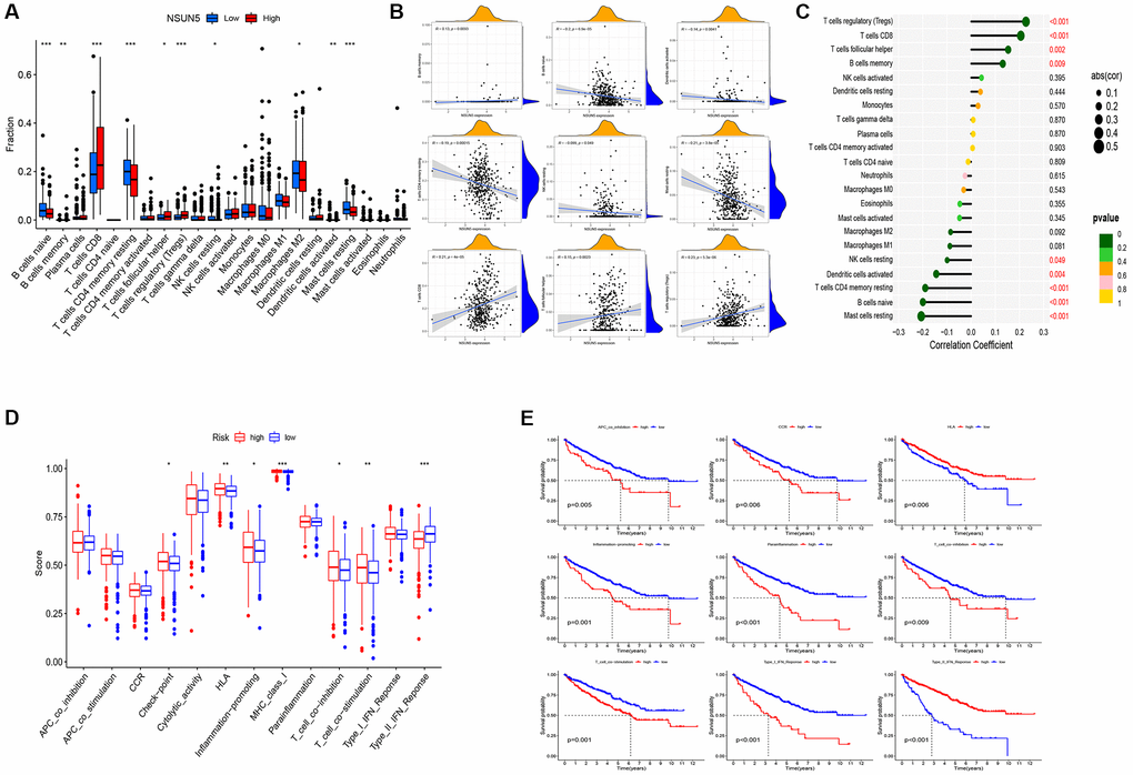 Distinct TME characteristics of ccRCC patients according to the risk score. (A) Boxplots showed abundance of 22 infiltrating immune cell types. (B) Correlation between nine immune cells and patient risk score. (C) Lollipop plot showed abundance of 22 infiltrating immune cell types. (D) Immune function differential analysis for single sample gene set enrichment analysis. (E) Kaplan-Meier curves for the 9 immune function in ccRCC patients (*P **P ***P 