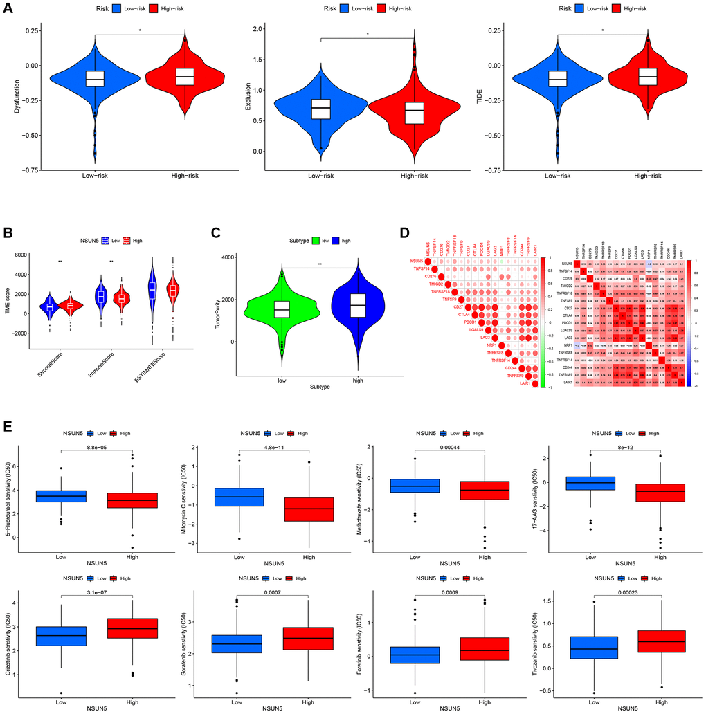 Correlation between the risk score and the TME score, TIDE score, and immune check point. (A) TIDE scores with the low- and high-risk groups. (B) Immune, stromal and ESTIMATE scores with the low- and high-risk groups. (C) Tumor purity with the low- and high-risk groups. (D) Heat map of the correlation between NSUN5 and immune check points. (E) Drug sensitivity analysis (*P **P 