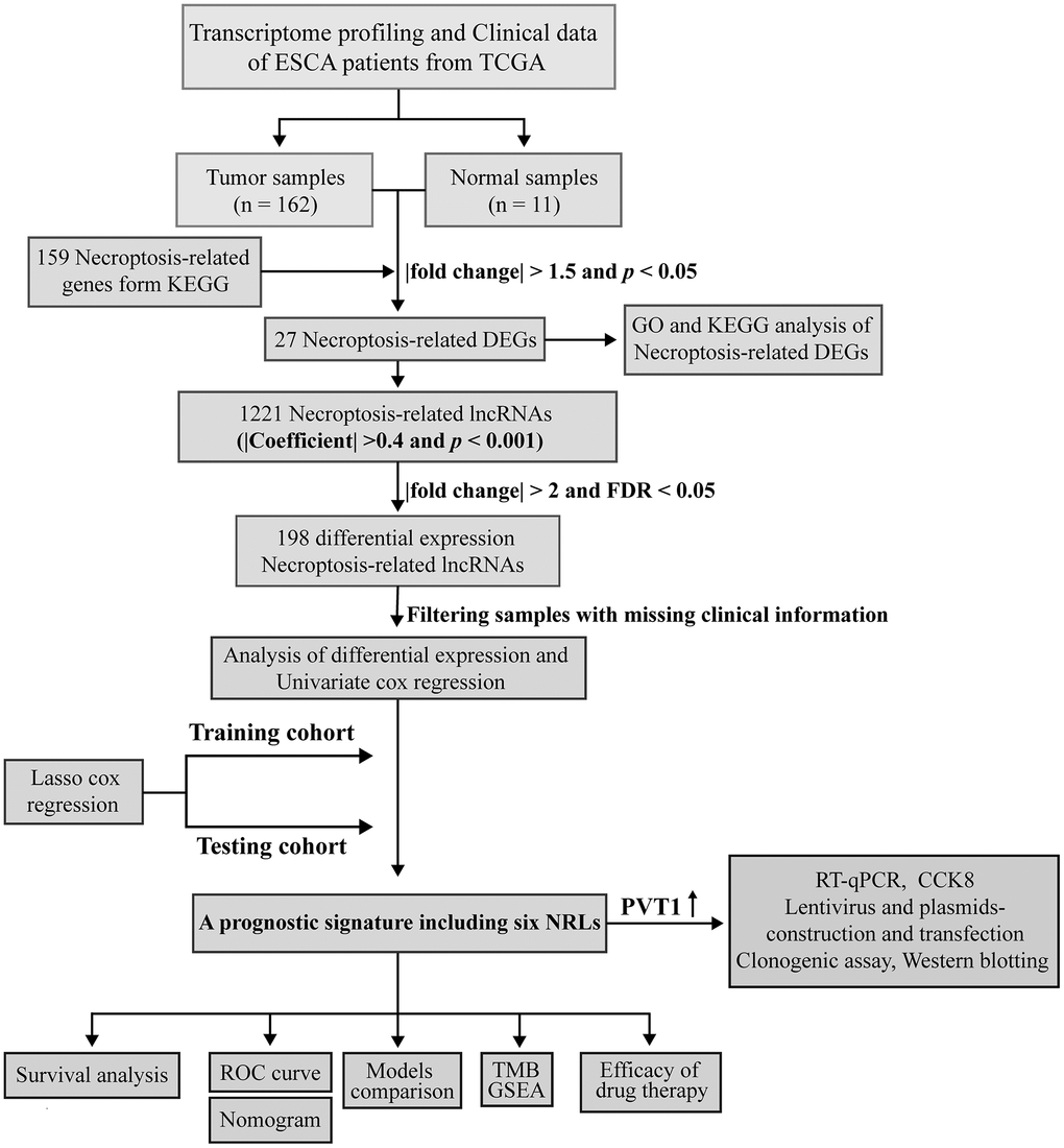 Workflow based on a comprehensive analysis of NRLs.