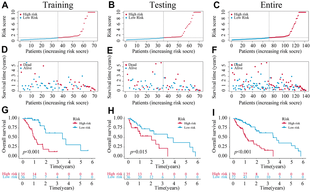 The construction of a 6-NRLs prognostic signature. (A–C) The risk score of six prognostic NRLs. (D–F) Survival status distribution of six prognostic NRLs. (G–I) Kaplan–Meier survival curves of high-risk and low-risk patients in training, testing, and entire groups.