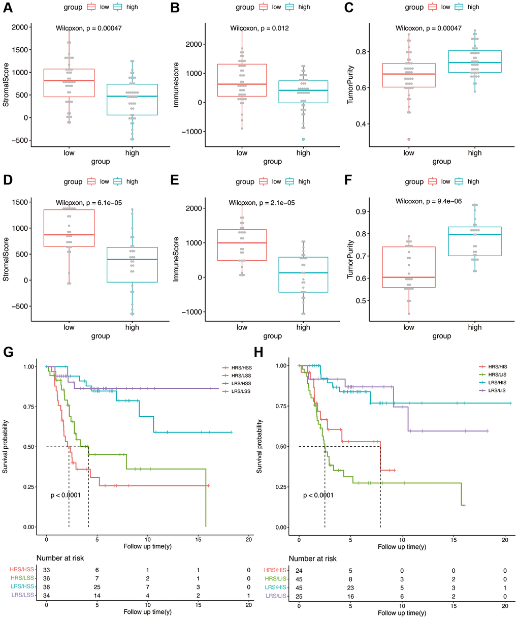 (A–C) Stromal score, immune score, and tumor purity in the high- and low-risk groups in the TARGET cohort. (D–F) Stromal score, immune score, and tumor purity in the high- and low-risk groups in the validation cohort. (G) Kaplan-Meier analysis combining risk score and stromal score. (H) Kaplan-Meier analysis combining risk score and immune score.