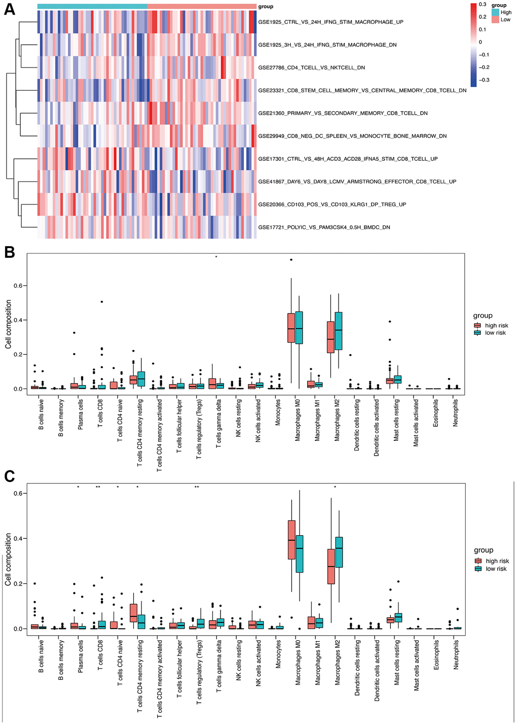 Immune analysis based on high- and low-risk groups. (A) Immune-related pathway GSVA between high- and low-risk groups. (B) Box plot of 22 immune cells in the high- and low-risk groups of the training cohort. (C) Box plot of 22 immune cells in the high- and low-risk groups of the validation cohort.