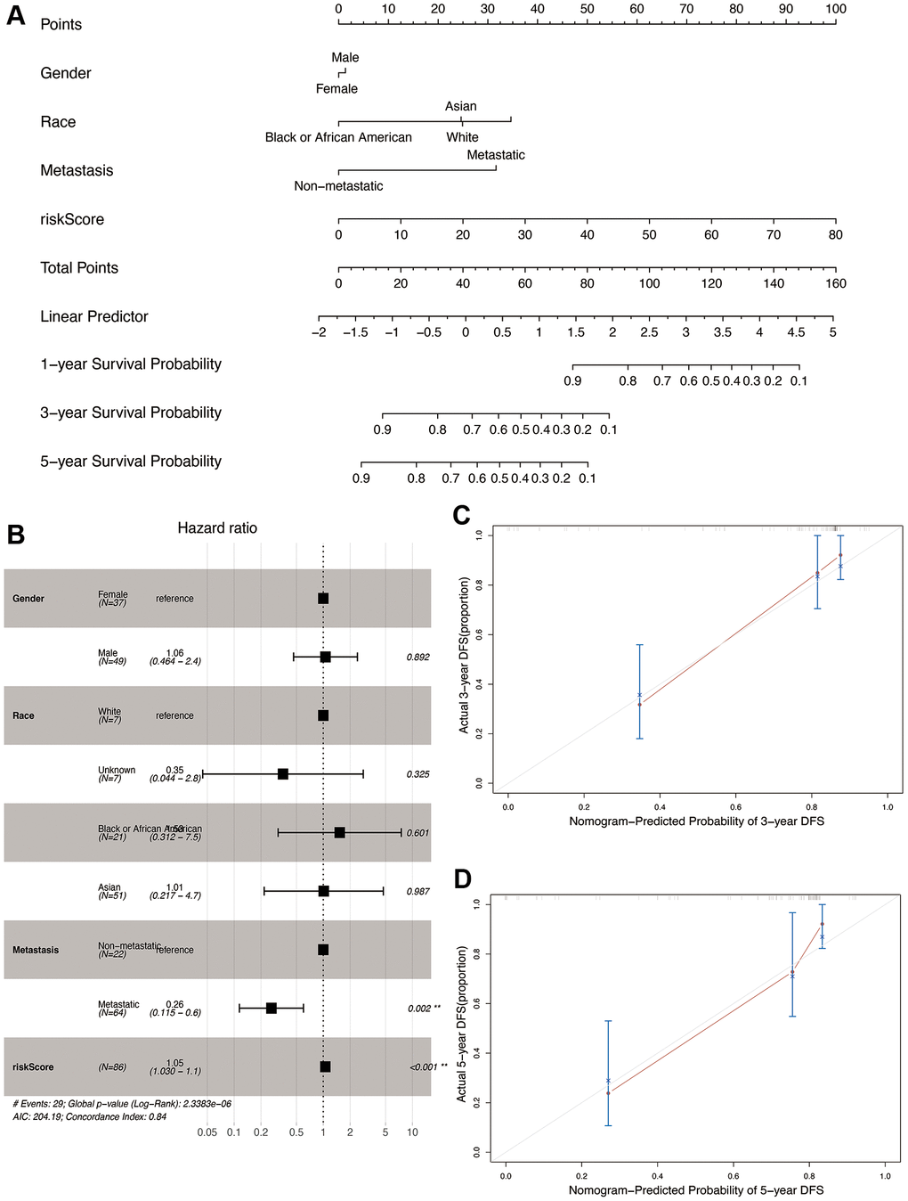 Construction and validation of the nomogram in the TARGET cohort. (A) Nomogram combining OS-related risk score and clinical characteristics for predicting 1-, 3-, and 5-year overall survival of osteosarcoma patients. (B) Forest plot showing results of multivariable cox regression of the nomogram. (C, D) The calibration curves for 3- and 5-year overall survival probability.