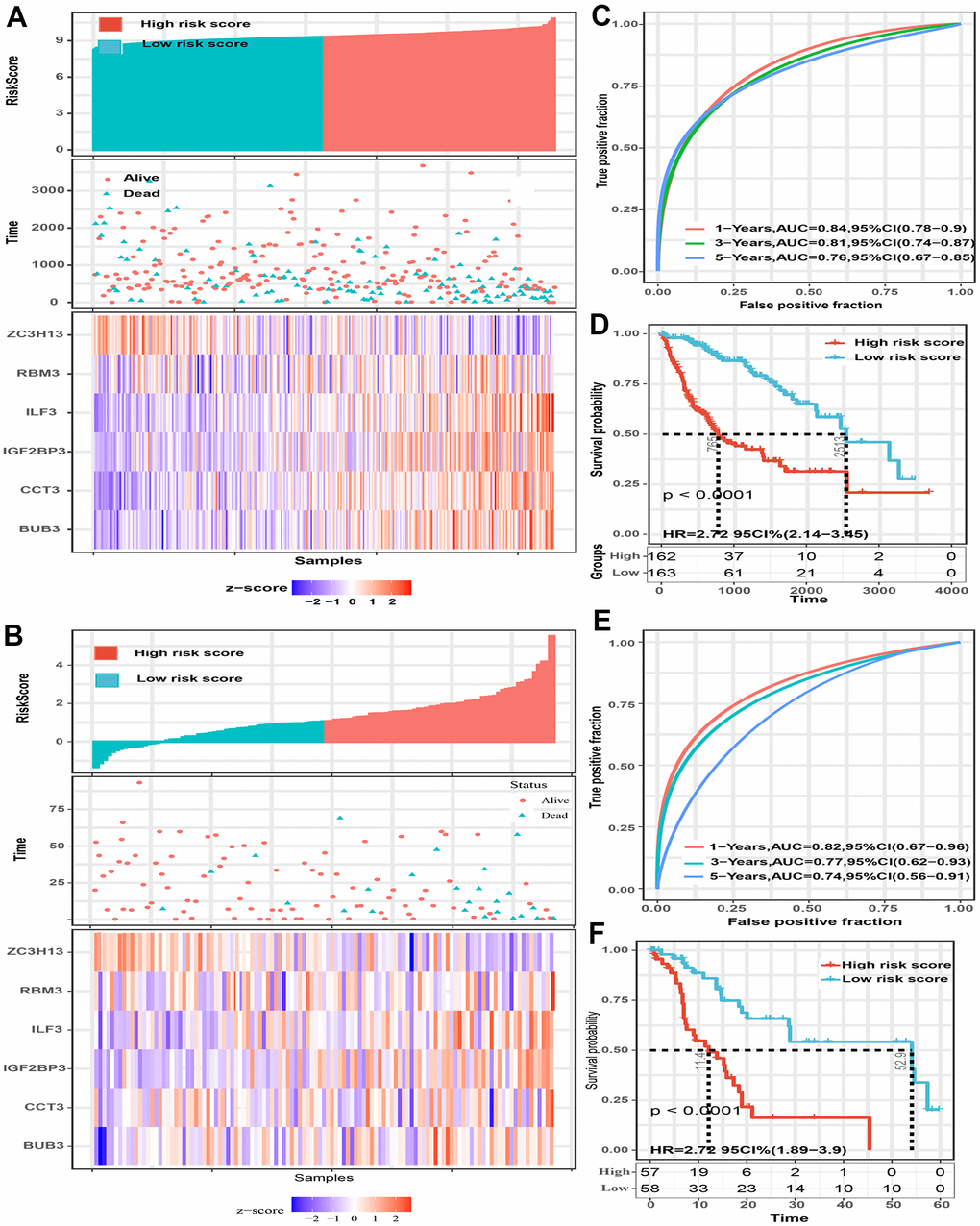 The predictive value of the six-spliceosome-related gene signature was validated in two validation sets (TCGA and GSE76427 cohorts). (A, B) HCC patients were divided into high-risk and low-risk score groups based on the median risk score in the TCGA cohort (A) and GSE76427 cohort (B); HCC patients were divided into high-risk and low-risk score groups based on the median risk score; High-risk score groups had lower survival rates than patients in low-risk score groups; Patients in high-risk score groups have lower ZC3H13 mRNA expression, whereas higher RBM3, ILF3, IGF2BP3, CCT3, and BUB3 mRNA levels. (C) 1-, 3-, and 5-year time-dependent receiver operating characteristic curve of the spliceosome-related genes signature in the TCGA cohort. (D) High-risk score patients have poorer overall survival probability in the TCGA cohort. (E) 1-, 3-, and 5-year time-dependent receiver operating characteristic curve of the spliceosome-related genes signature in the GSE76427 cohort. (F) High-risk score patients have poorer overall survival probability in GSE76427 cohort.